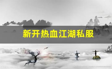 新开热血江湖私服 (4)