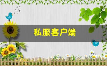 私服客户端 (15)