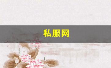 私服网(手游私sf平台) (7)