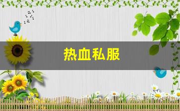 热血私服(热血 sfc)