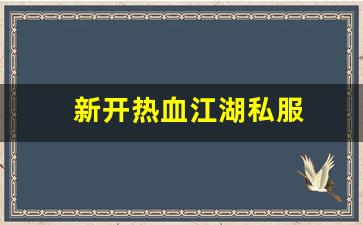 新开热血江湖私服 (14)