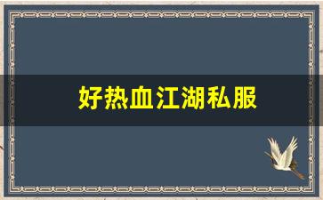 好热血江湖私服 (15)