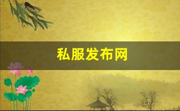 私服发布网(手游私sf平台)