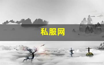 私服网(手游私sf平台) (3)